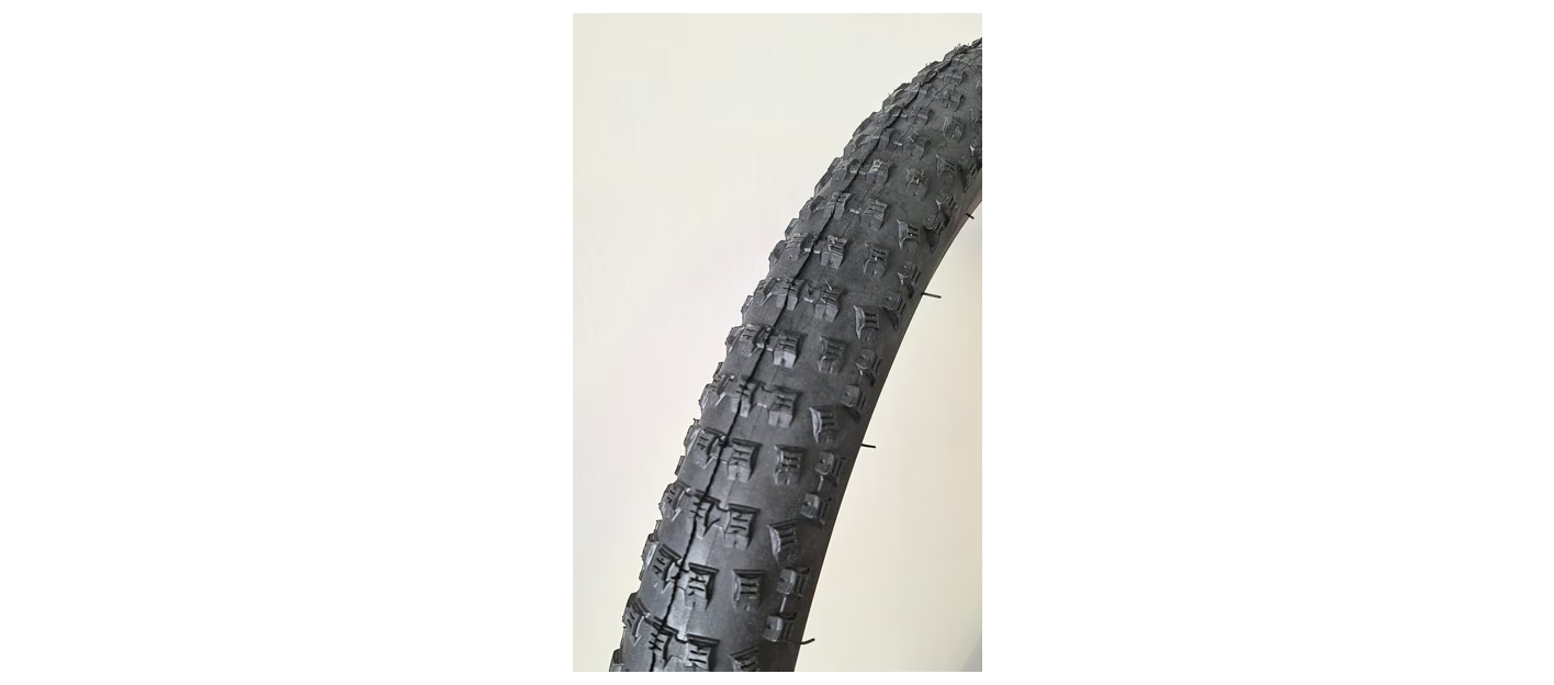 Tyre 29 x 2.35 Standard Wirebead Speed